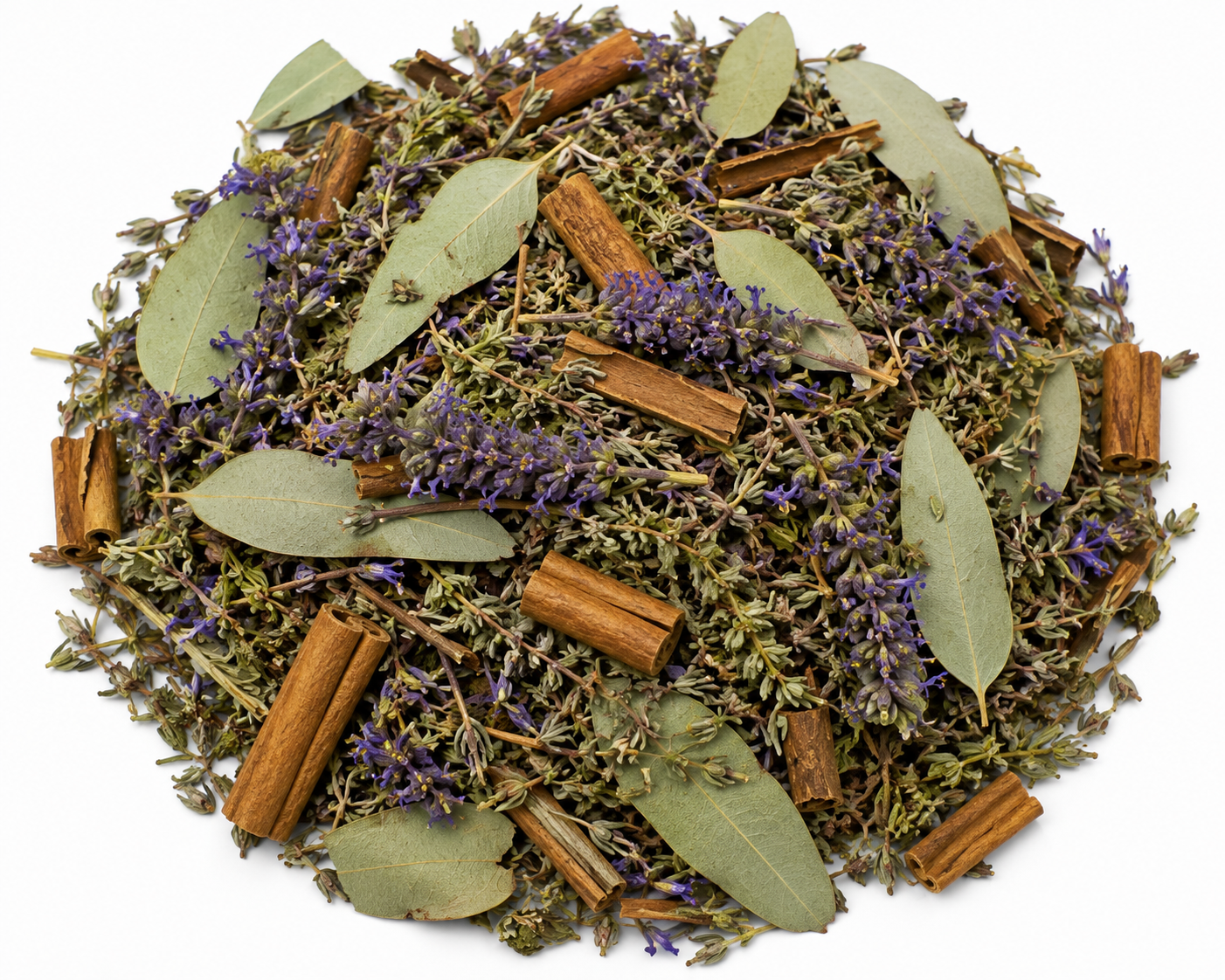 infusion anti bactérienne