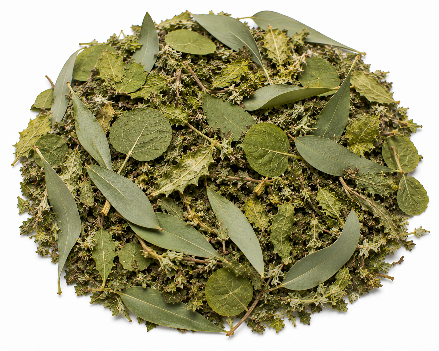 Infusion Éveil du Printemps – Allergie