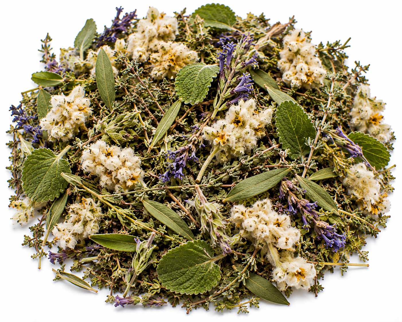 Infusion Souffle des Jardins (Respiration)