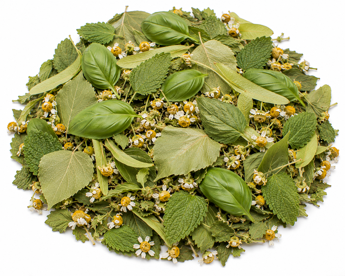 Infusion Harmonie Digestive (Brûlure)