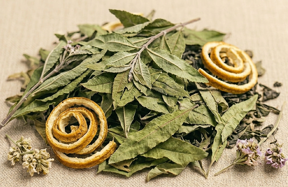 Verveine